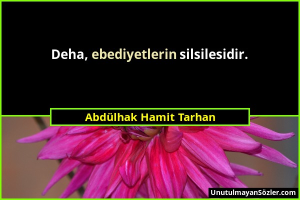 Abdülhak Hamit Tarhan - Deha, ebediyetlerin silsilesidir....