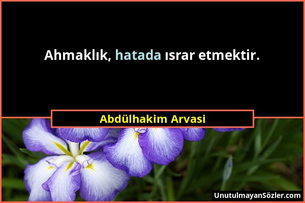 Abdülhakim Arvasi - Ahmaklık, hatada ısrar etmektir....