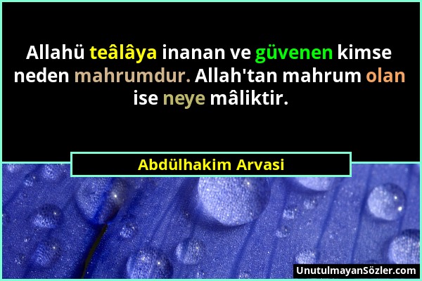 Abdülhakim Arvasi - Allahü teâlâya inanan ve güvenen kimse neden mahrumdur. Allah'tan mahrum olan ise neye mâliktir....