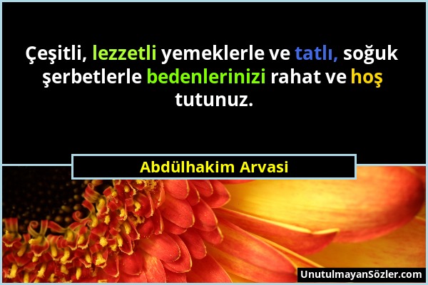 Abdülhakim Arvasi - Çeşitli, lezzetli yemeklerle ve tatlı, soğuk şerbetlerle bedenlerinizi rahat ve hoş tutunuz....