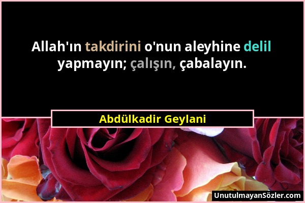 Abdülkadir Geylani - Allah'ın takdirini o'nun aleyhine delil yapmayın; çalışın, çabalayın....