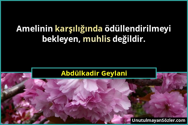 Abdülkadir Geylani - Amelinin karşılığında ödüllendirilmeyi bekleyen, muhlis değildir....