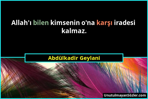 Abdülkadir Geylani - Allah'ı bilen kimsenin o'na karşı iradesi kalmaz....