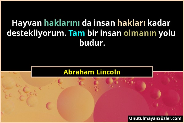 Abraham Lincoln - Hayvan haklarını da insan hakları kadar destekliyorum. Tam bir insan olmanın yolu budur....