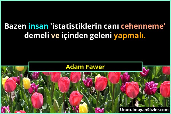 Adam Fawer - Bazen insan 'istatistiklerin canı cehenneme' demeli ve içinden geleni yapmalı....