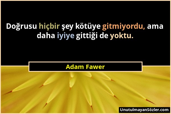 Adam Fawer - Doğrusu hiçbir şey kötüye gitmiyordu, ama daha iyiye gittiği de yoktu....