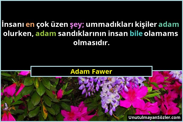 Adam Fawer - İnsanı en çok üzen şey; ummadıkları kişiler adam olurken, adam sandıklarının insan bile olamams olmasıdır....