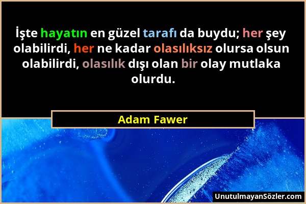 Adam Fawer - İşte hayatın en güzel tarafı da buydu; her şey olabilirdi, her ne kadar olasılıksız olursa olsun olabilirdi, olasılık dışı olan bir olay...