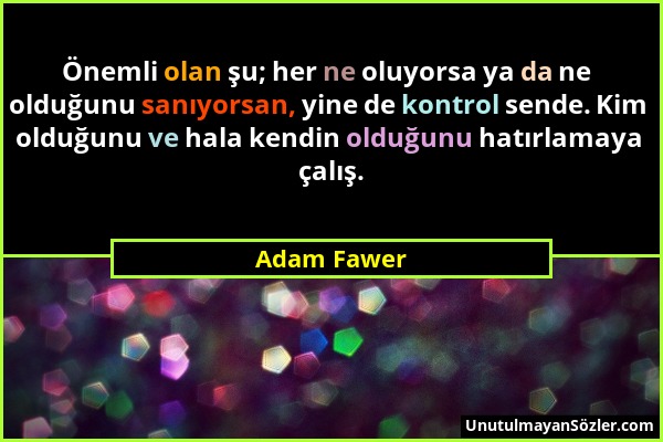 Adam Fawer - Önemli olan şu; her ne oluyorsa ya da ne olduğunu sanıyorsan, yine de kontrol sende. Kim olduğunu ve hala kendin olduğunu hatırlamaya çal...