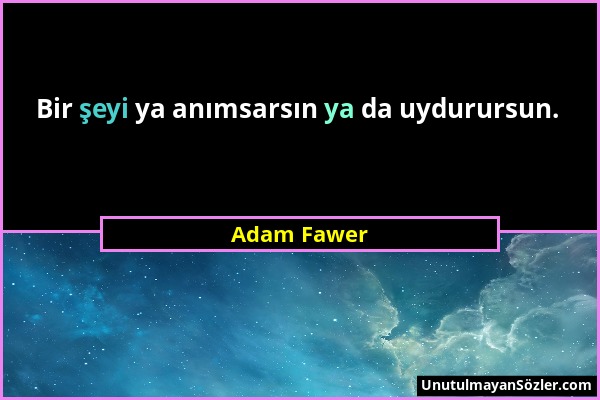 Adam Fawer - Bir şeyi ya anımsarsın ya da uydurursun....