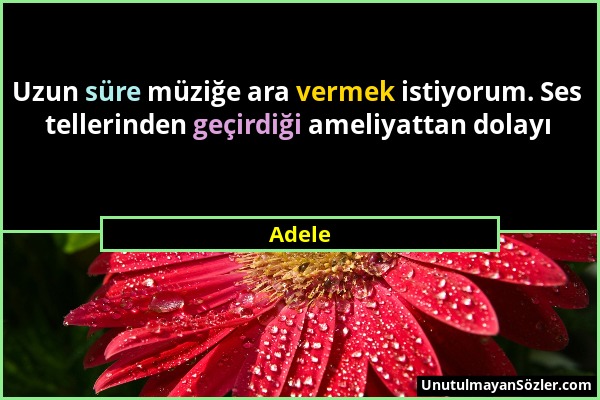 Adele - Uzun süre müziğe ara vermek istiyorum. Ses tellerinden geçirdiği ameliyattan dolayı...