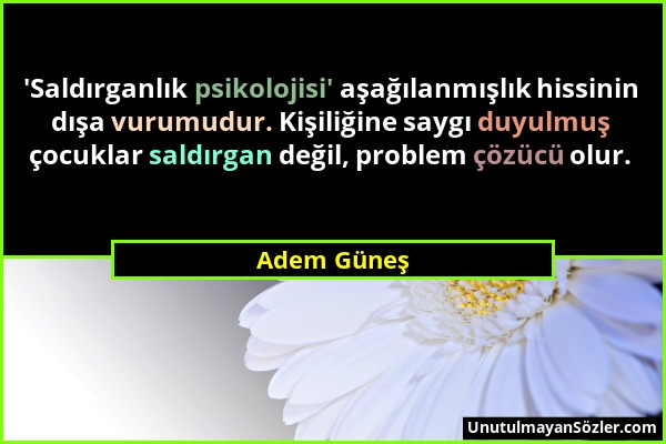 Adem Güneş - 'Saldırganlık psikolojisi' aşağılanmışlık hissinin dışa vurumudur. Kişiliğine saygı duyulmuş çocuklar saldırgan değil, problem çözücü olu...