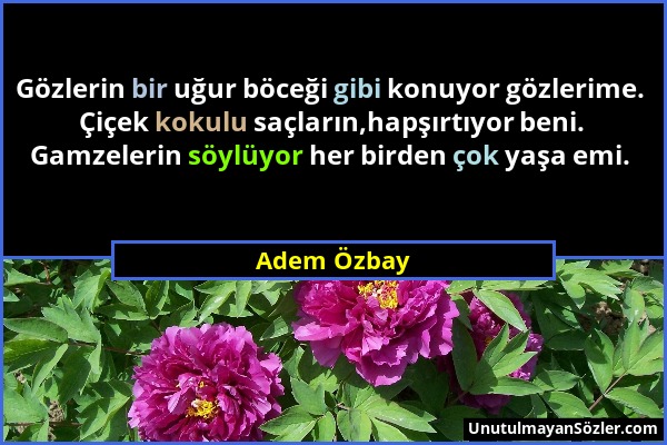 Adem Özbay - Gözlerin bir uğur böceği gibi konuyor gözlerime. Çiçek kokulu saçların,hapşırtıyor beni. Gamzelerin söylüyor her birden çok yaşa emi....