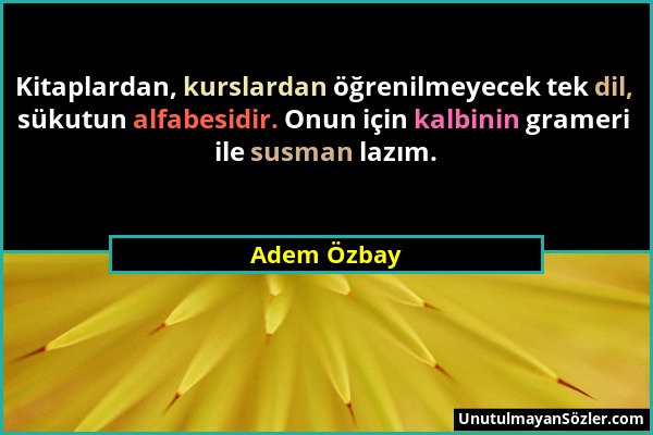 Adem Özbay - Kitaplardan, kurslardan öğrenilmeyecek tek dil, sükutun alfabesidir. Onun için kalbinin grameri ile susman lazım....