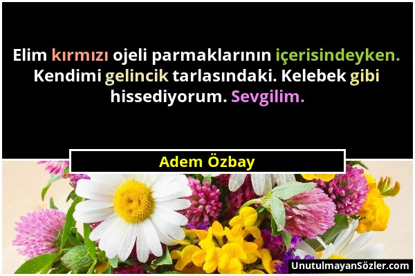 Adem Özbay - Elim kırmızı ojeli parmaklarının içerisindeyken. Kendimi gelincik tarlasındaki. Kelebek gibi hissediyorum. Sevgilim....