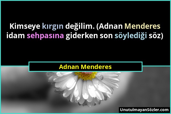 Adnan Menderes - Kimseye kırgın değilim. (Adnan Menderes idam sehpasına giderken son söylediği söz)...