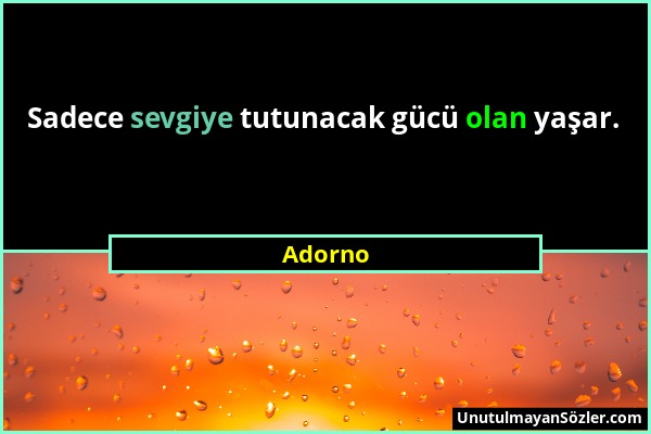 Adorno - Sadece sevgiye tutunacak gücü olan yaşar....