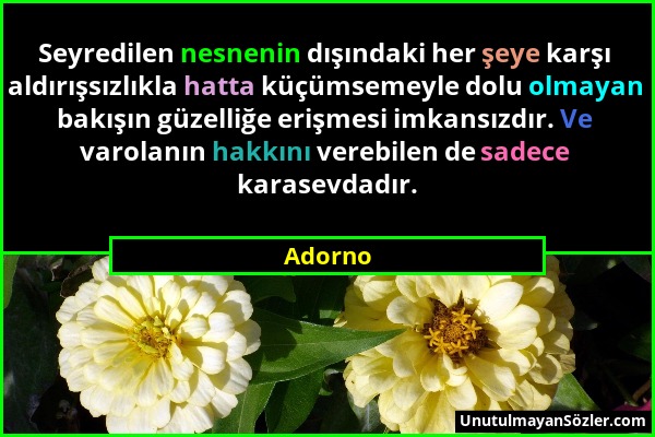 Adorno - Seyredilen nesnenin dışındaki her şeye karşı aldırışsızlıkla hatta küçümsemeyle dolu olmayan bakışın güzelliğe erişmesi imkansızdır. Ve varol...