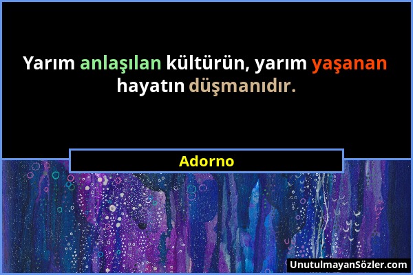 Adorno - Yarım anlaşılan kültürün, yarım yaşanan hayatın düşmanıdır....