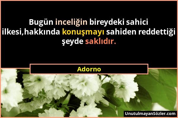 Adorno - Bugün inceliğin bireydeki sahici ilkesi,hakkında konuşmayı sahiden reddettiği şeyde saklıdır....