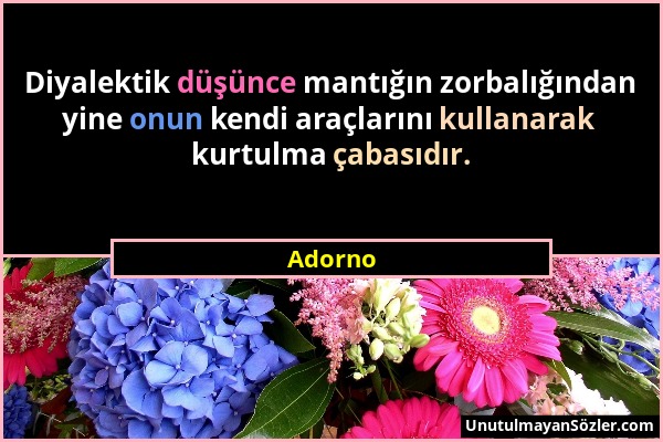 Adorno - Diyalektik düşünce mantığın zorbalığından yine onun kendi araçlarını kullanarak kurtulma çabasıdır....