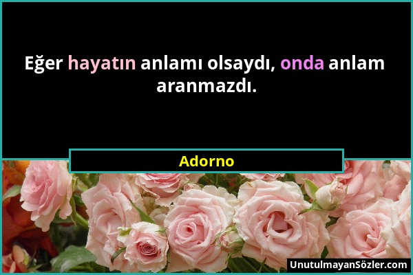 Adorno - Eğer hayatın anlamı olsaydı, onda anlam aranmazdı....