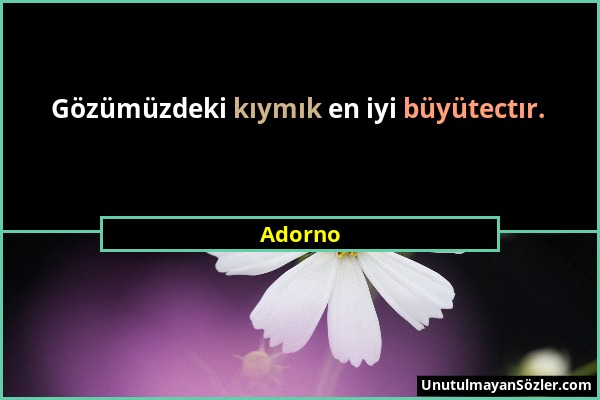 Adorno - Gözümüzdeki kıymık en iyi büyütectır....