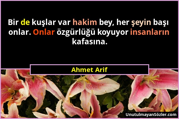 Ahmet Arif - Bir de kuşlar var hakim bey, her şeyin başı onlar. Onlar özgürlüğü koyuyor insanların kafasına....