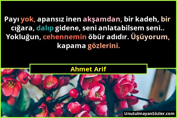 Ahmet Arif - Payı yok, apansız inen akşamdan, bir kadeh, bir cığara, dalıp gidene, seni anlatabilsem seni.. Yokluğun, cehennemin öbür adıdır. Üşüyorum...