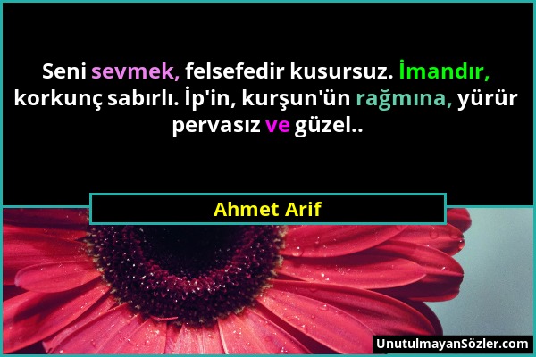 Ahmet Arif - Seni sevmek, felsefedir kusursuz. İmandır, korkunç sabırlı. İp'in, kurşun'ün rağmına, yürür pervasız ve güzel.....