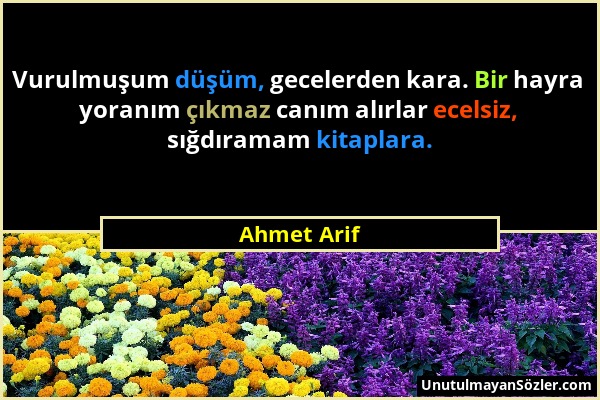 Ahmet Arif - Vurulmuşum düşüm, gecelerden kara. Bir hayra yoranım çıkmaz canım alırlar ecelsiz, sığdıramam kitaplara....