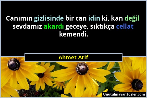 Ahmet Arif - Canımın gizlisinde bir can idin ki, kan değil sevdamız akardı geceye, sıktıkça cellat kemendi....