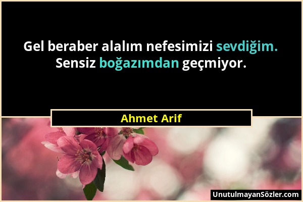 Ahmet Arif - Gel beraber alalım nefesimizi sevdiğim. Sensiz boğazımdan geçmiyor....
