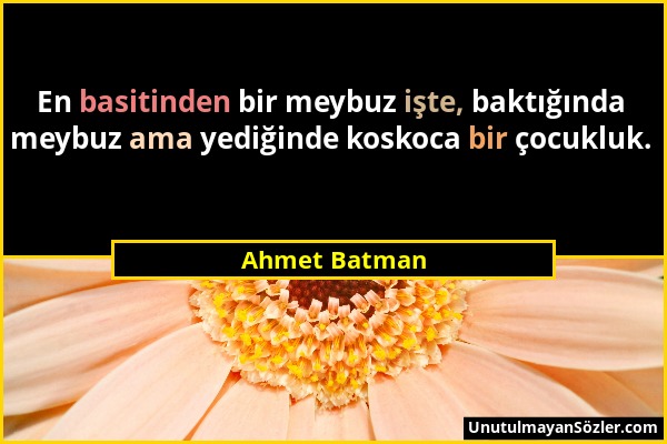 Ahmet Batman - En basitinden bir meybuz işte, baktığında meybuz ama yediğinde koskoca bir çocukluk....