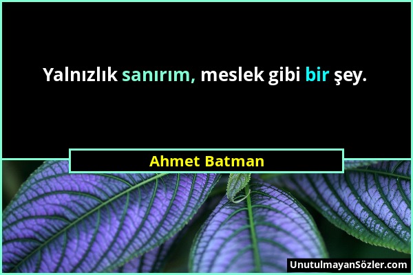 Ahmet Batman - Yalnızlık sanırım, meslek gibi bir şey....