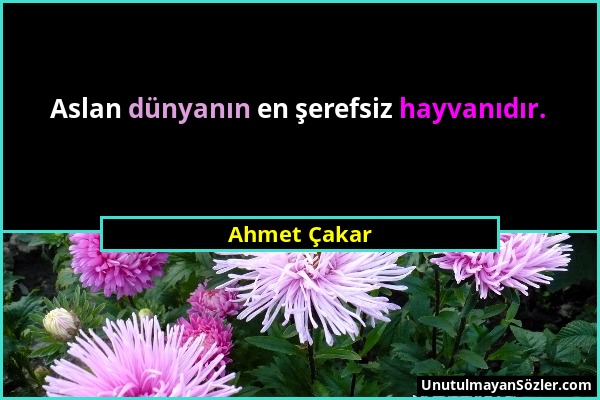 Ahmet Çakar - Aslan dünyanın en şerefsiz hayvanıdır....