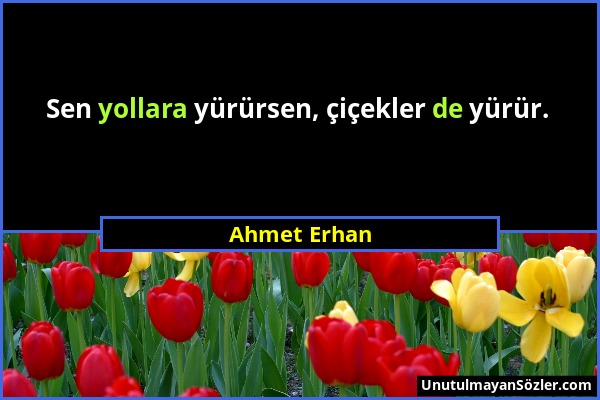 Ahmet Erhan - Sen yollara yürürsen, çiçekler de yürür....