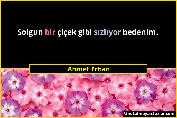 Ahmet Erhan - Solgun bir çiçek gibi sızlıyor bedenim....