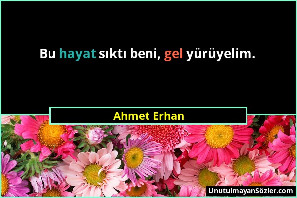 Ahmet Erhan - Bu hayat sıktı beni, gel yürüyelim....