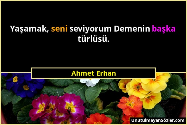 Ahmet Erhan - Yaşamak, seni seviyorum Demenin başka türlüsü....