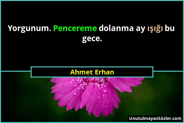 Ahmet Erhan - Yorgunum. Pencereme dolanma ay ışığı bu gece....