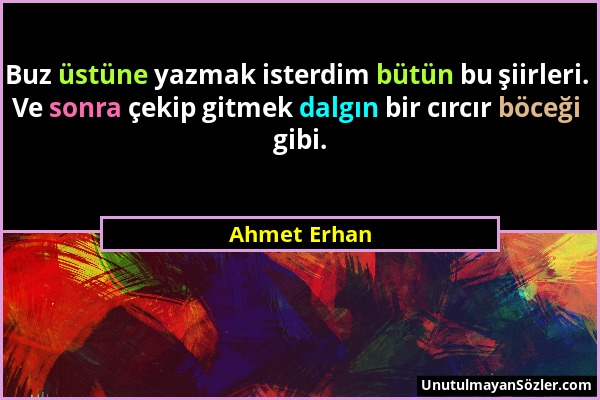 Ahmet Erhan - Buz üstüne yazmak isterdim bütün bu şiirleri. Ve sonra çekip gitmek dalgın bir cırcır böceği gibi....