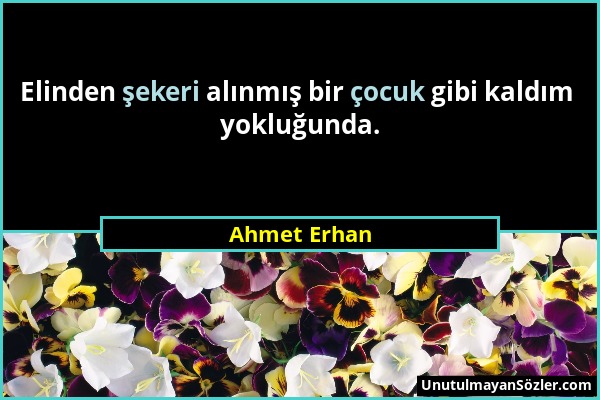 Ahmet Erhan - Elinden şekeri alınmış bir çocuk gibi kaldım yokluğunda....