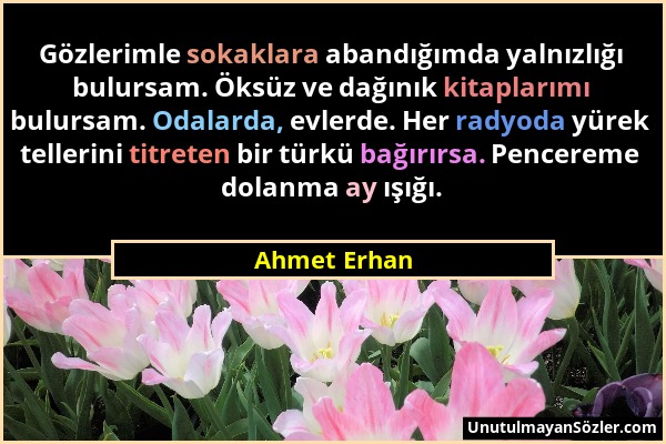 Ahmet Erhan - Gözlerimle sokaklara abandığımda yalnızlığı bulursam. Öksüz ve dağınık kitaplarımı bulursam. Odalarda, evlerde. Her radyoda yürek teller...