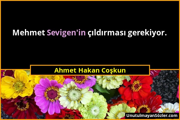 Ahmet Hakan Coşkun - Mehmet Sevigen'in çıldırması gerekiyor....