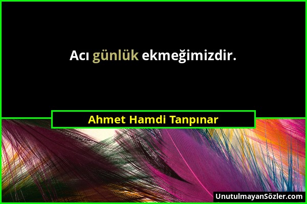 Ahmet Hamdi Tanpınar - Acı günlük ekmeğimizdir....