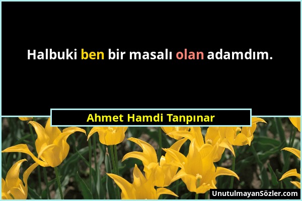 Ahmet Hamdi Tanpınar - Halbuki ben bir masalı olan adamdım....