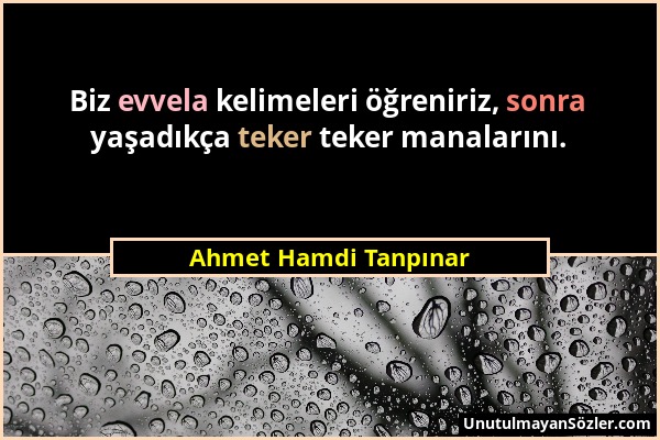 Ahmet Hamdi Tanpınar - Biz evvela kelimeleri öğreniriz, sonra yaşadıkça teker teker manalarını....