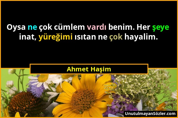Ahmet Haşim - Oysa ne çok cümlem vardı benim. Her şeye inat, yüreğimi ısıtan ne çok hayalim....
