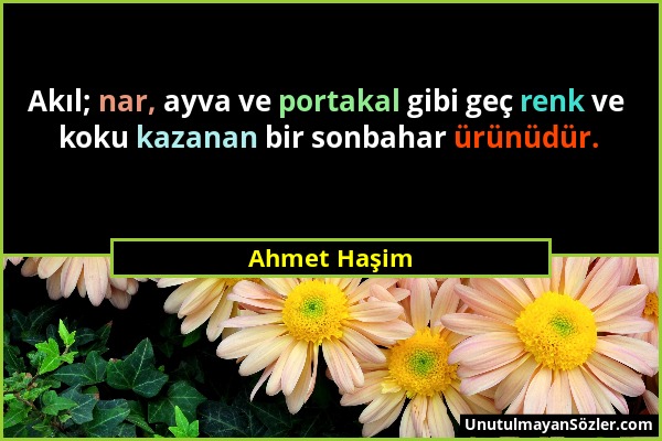 Ahmet Haşim - Akıl; nar, ayva ve portakal gibi geç renk ve koku kazanan bir sonbahar ürünüdür....